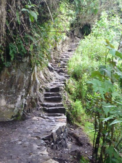 Stairs to Machu Picchu. Never again.